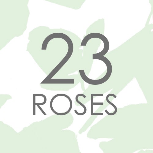 Renata Silk Chiffon Scarf, 23 Roses Designs, 23 Roses Designs
